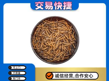 佳木斯礼品回收虫草.jpg